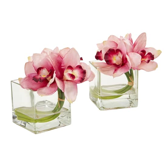 8" Boat Orchid Arrangement in Glass Vase, 2ct.